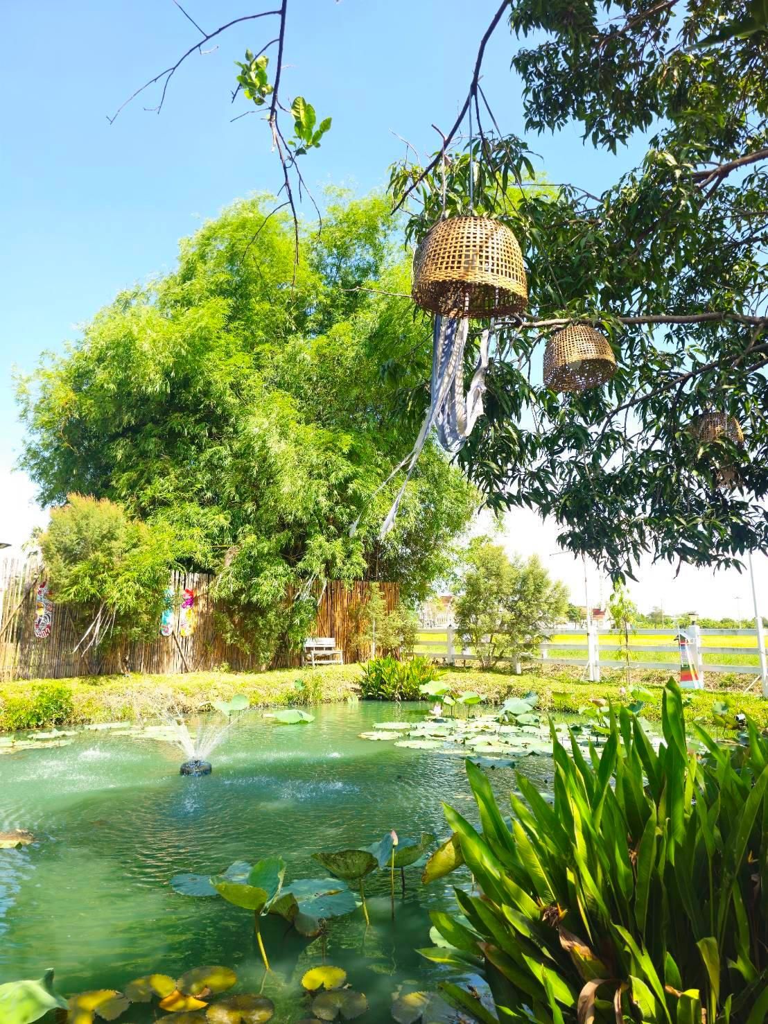 เคียงนาคาเฟ่