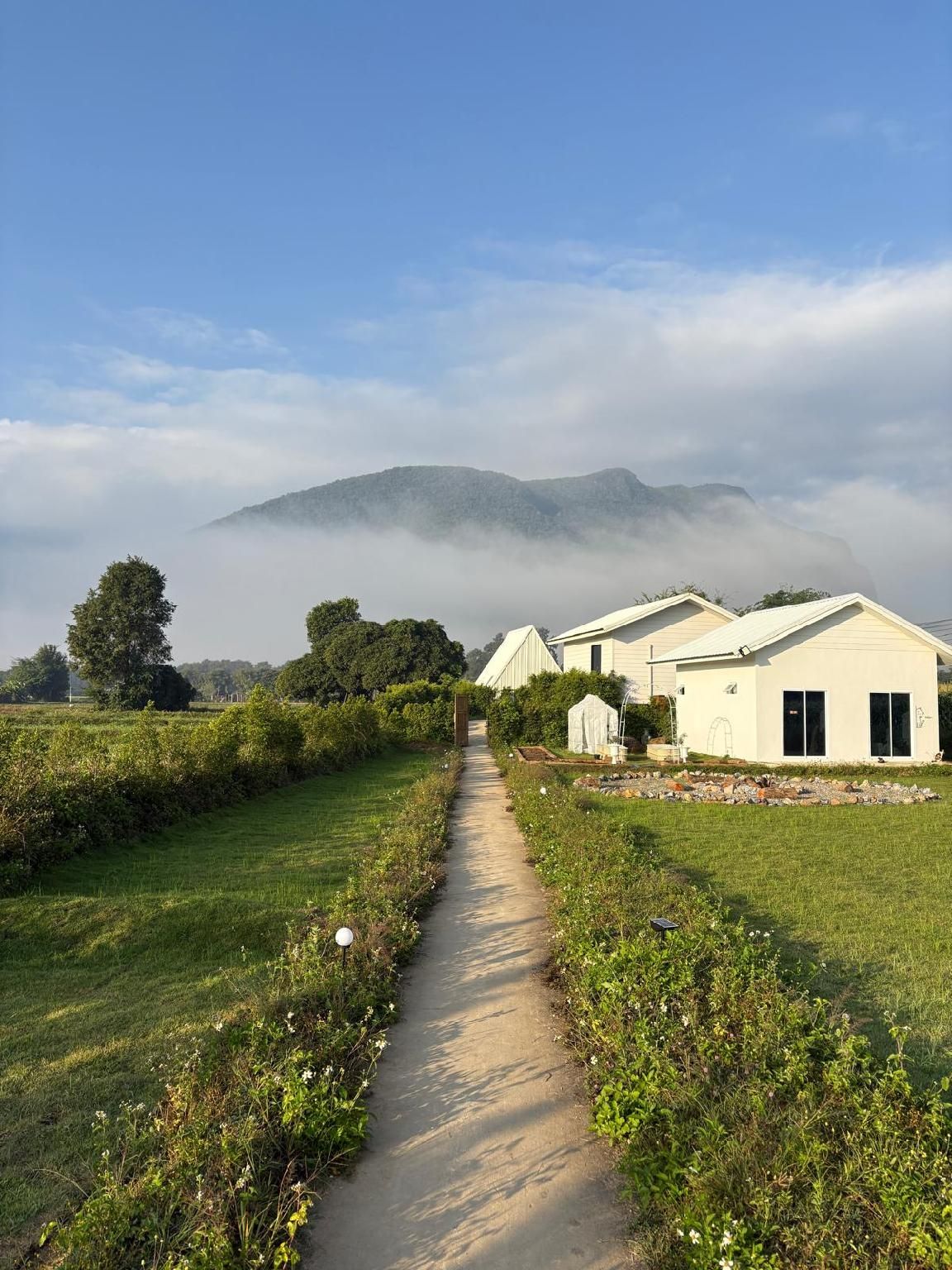 surrounding environment