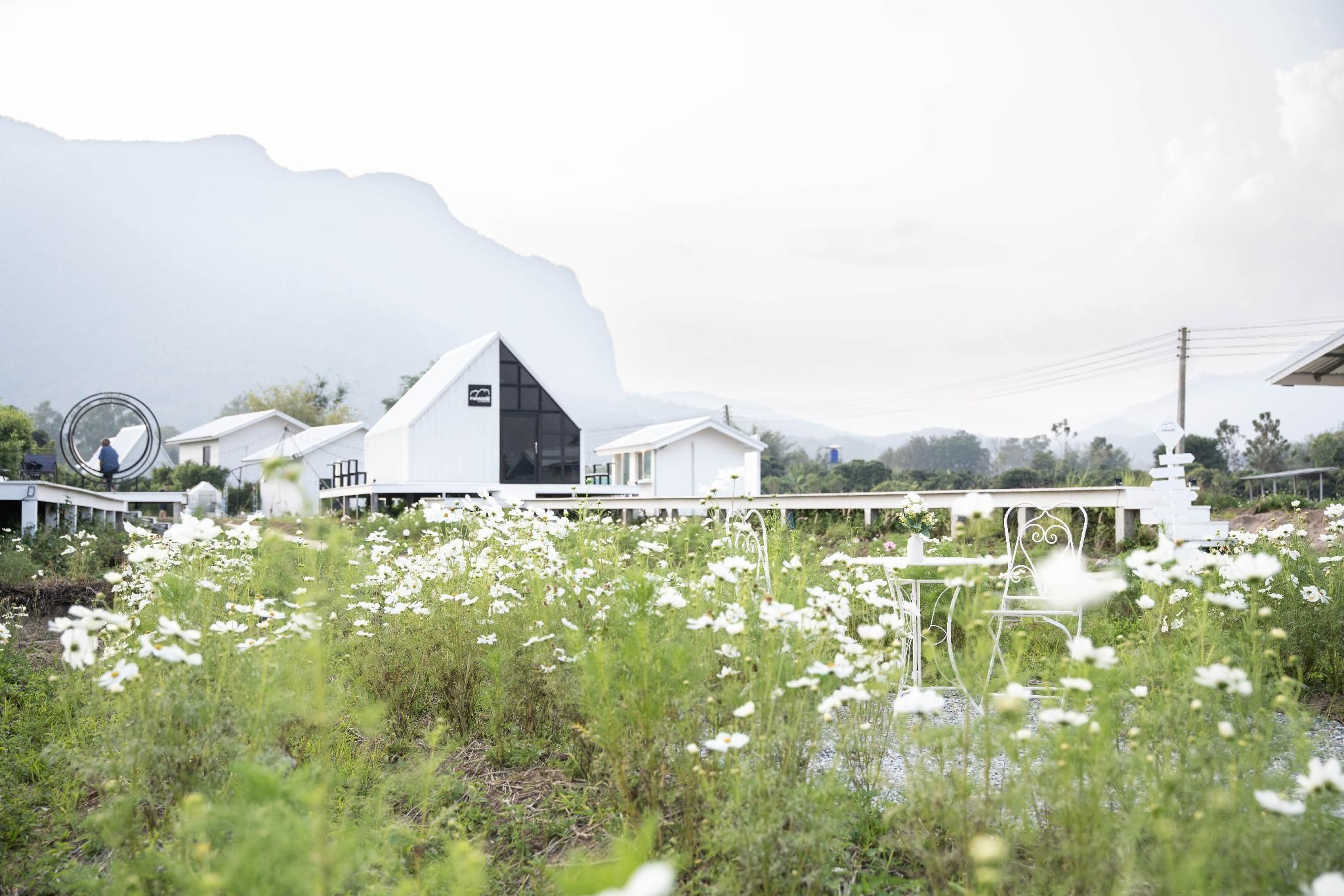 surrounding environment