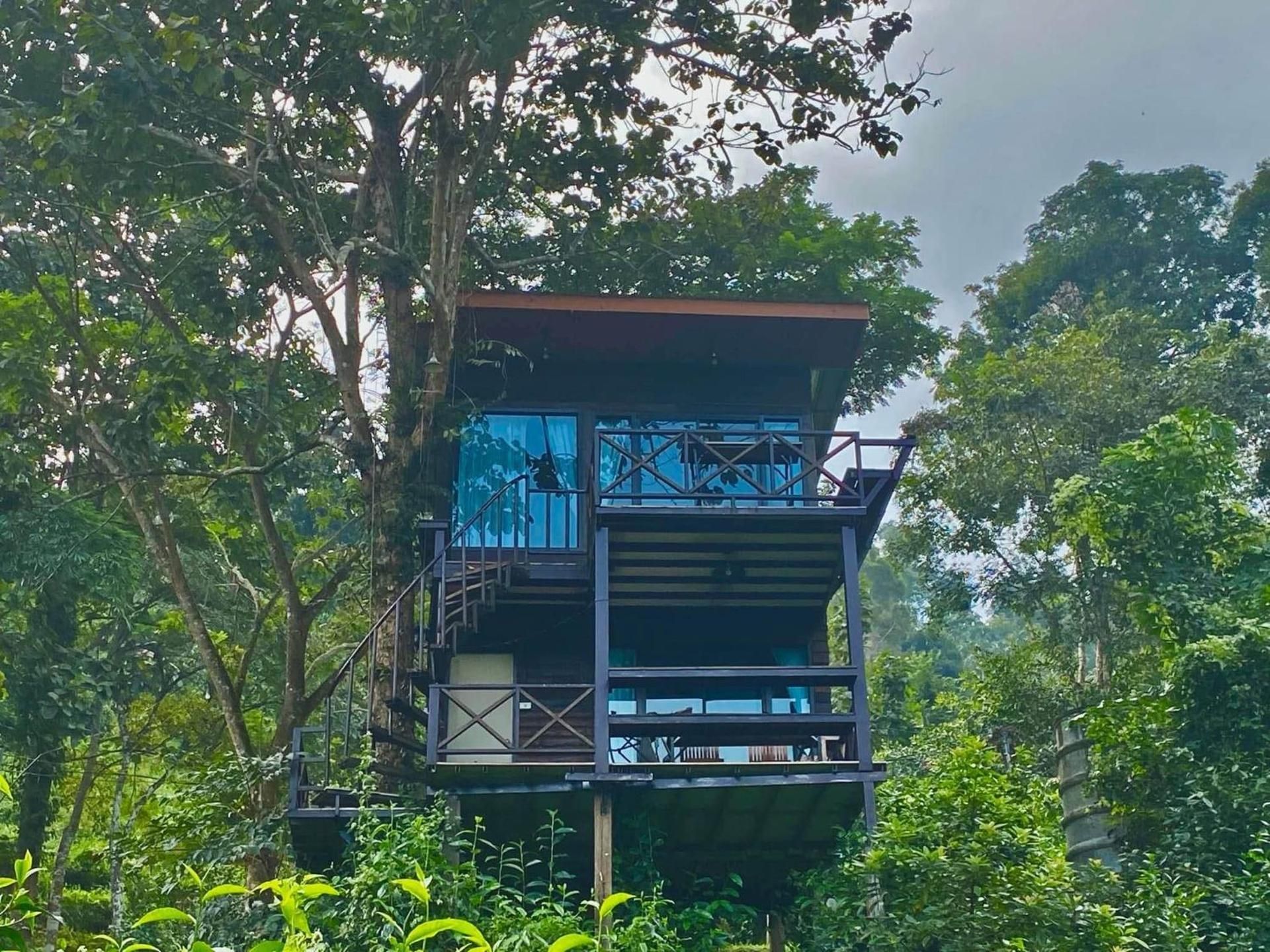 บ้านมานอนดอย - Manondoi โฮมสเตย์เชียงดาว