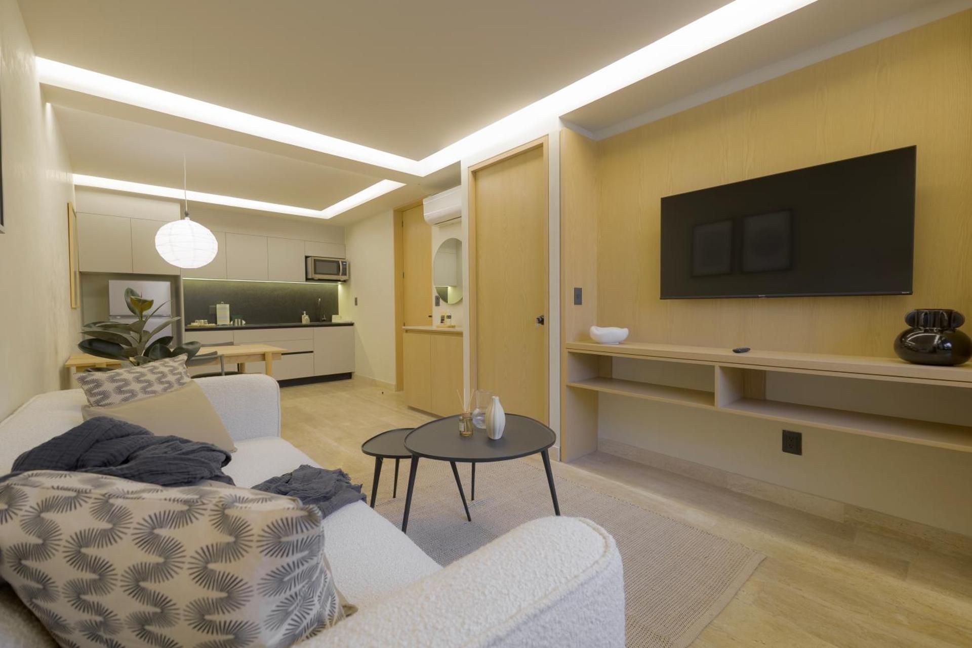 Luxury Apartment