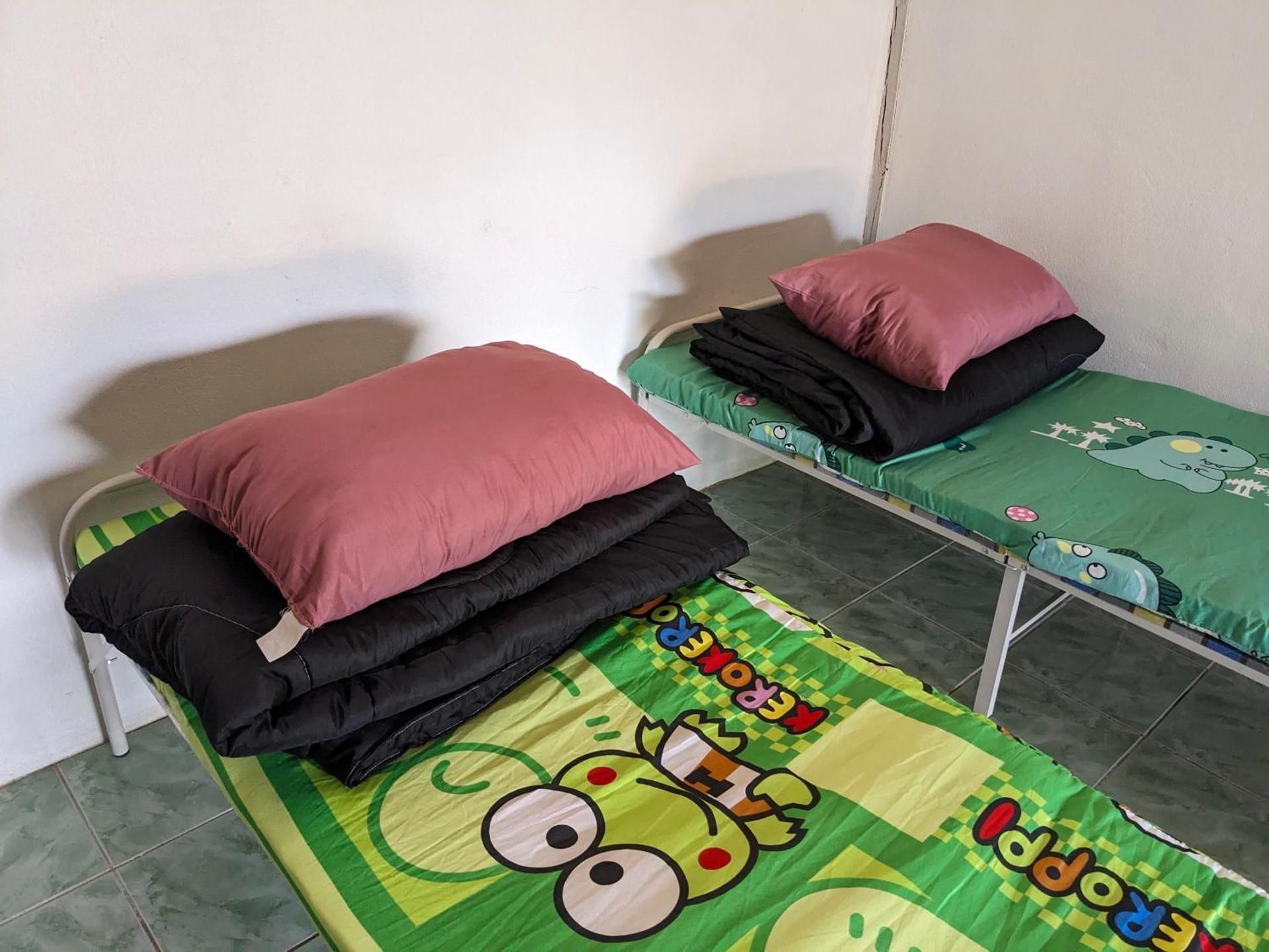 Single Bed in Mixed Dormitory Room