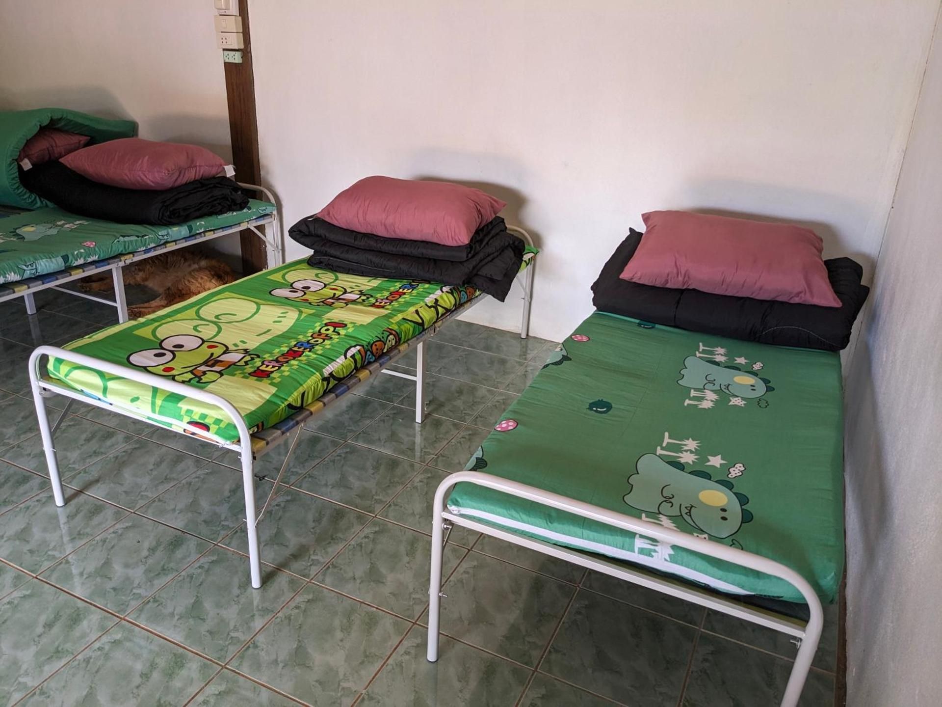 Single Bed in Mixed Dormitory Room