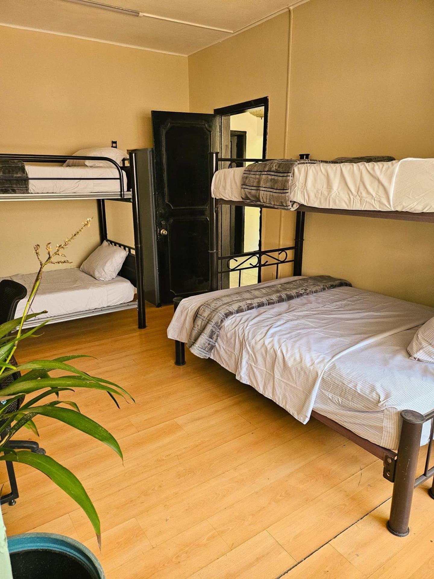 Male Dormitory Room