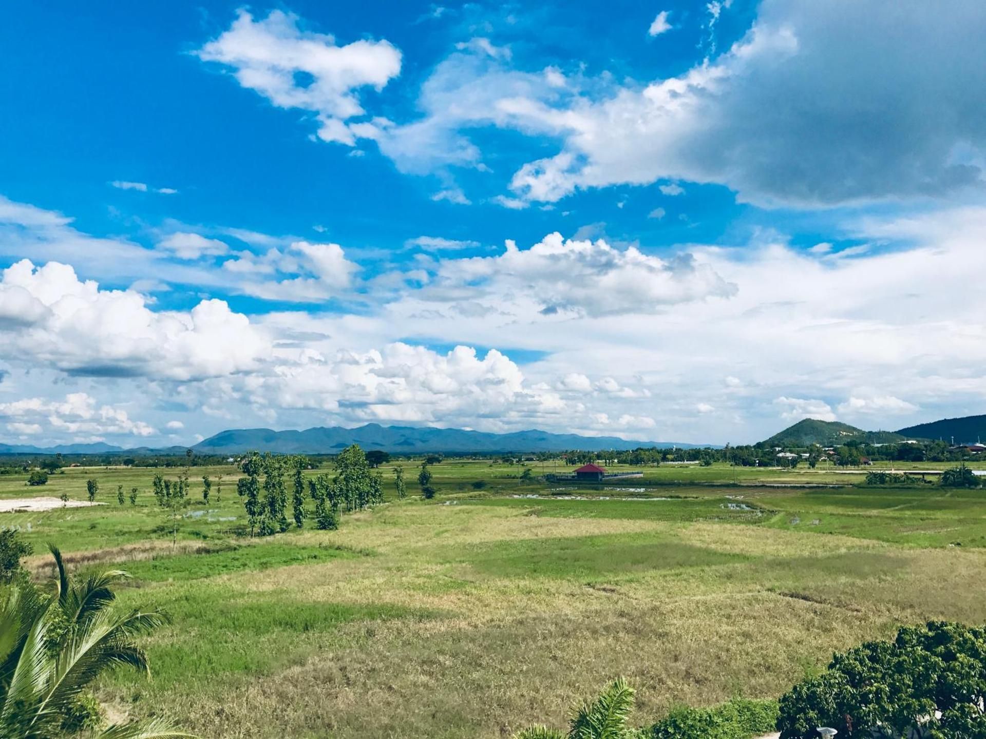 surrounding environment