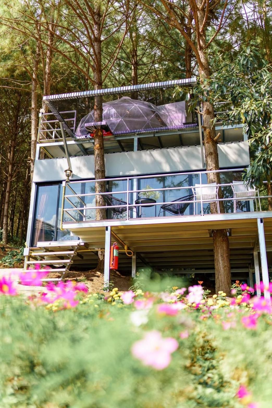 surrounding environment