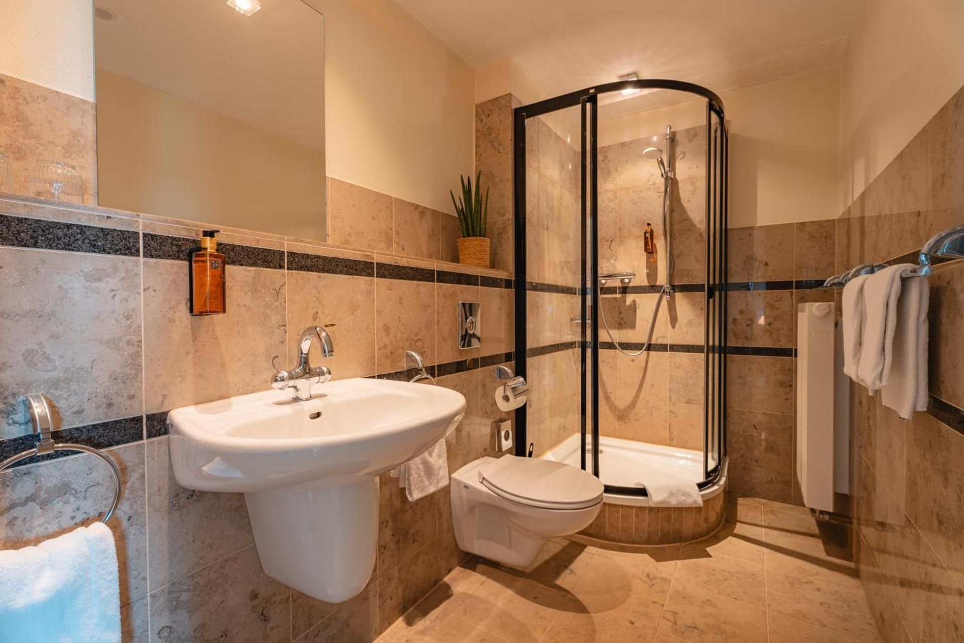 Naturhotel Sachsenbaude Oberwiesenthal - Indoor-Pool & Outdoor-Whirlpool Standard Double Room 2