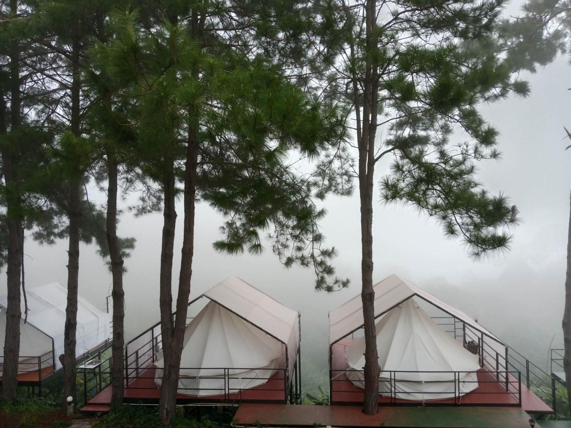 Tent
