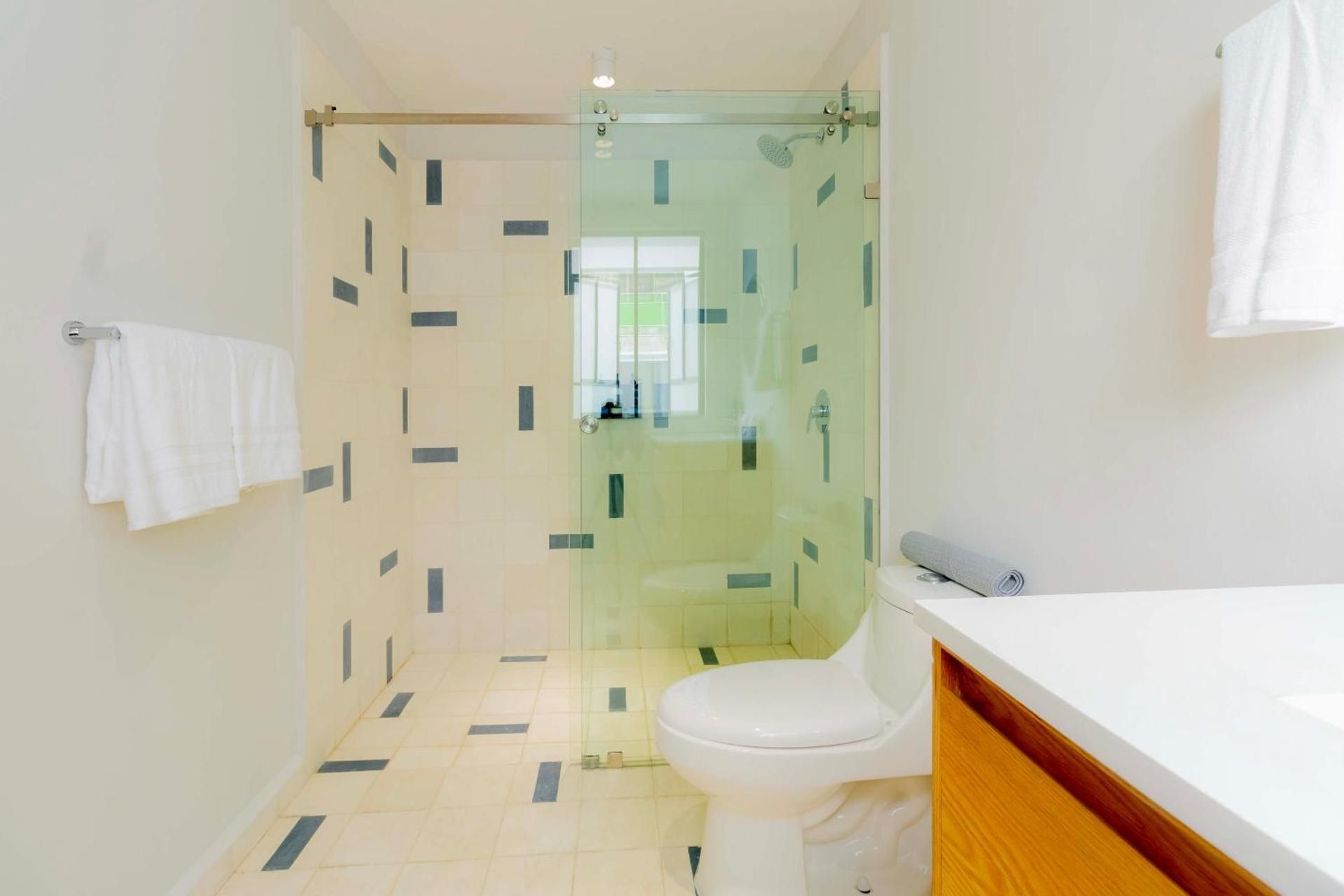 Premium Apartment, 1 Bedroom, Terrace