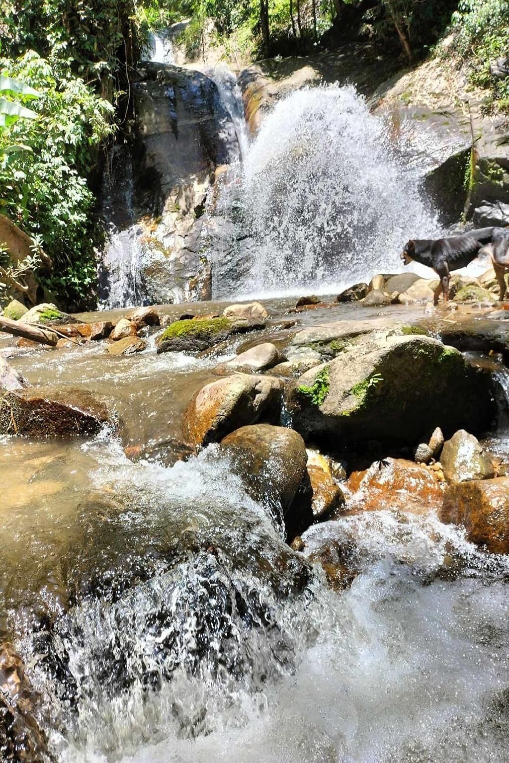 surrounding environment