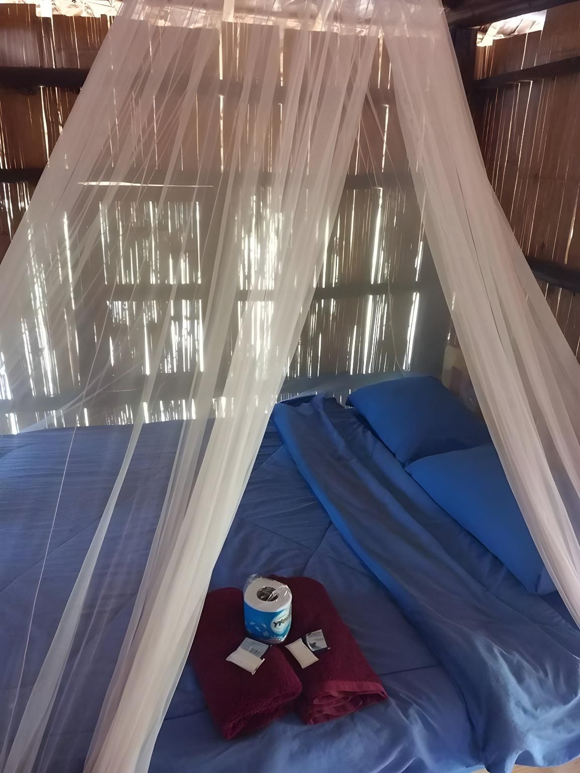 Natural Hut