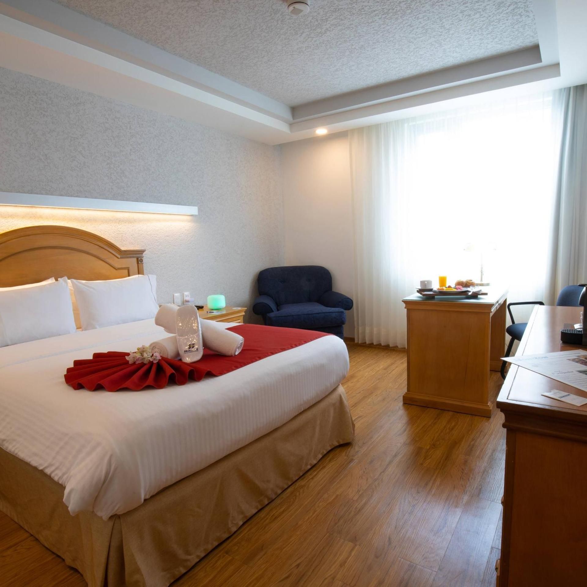 Plus Queen Room