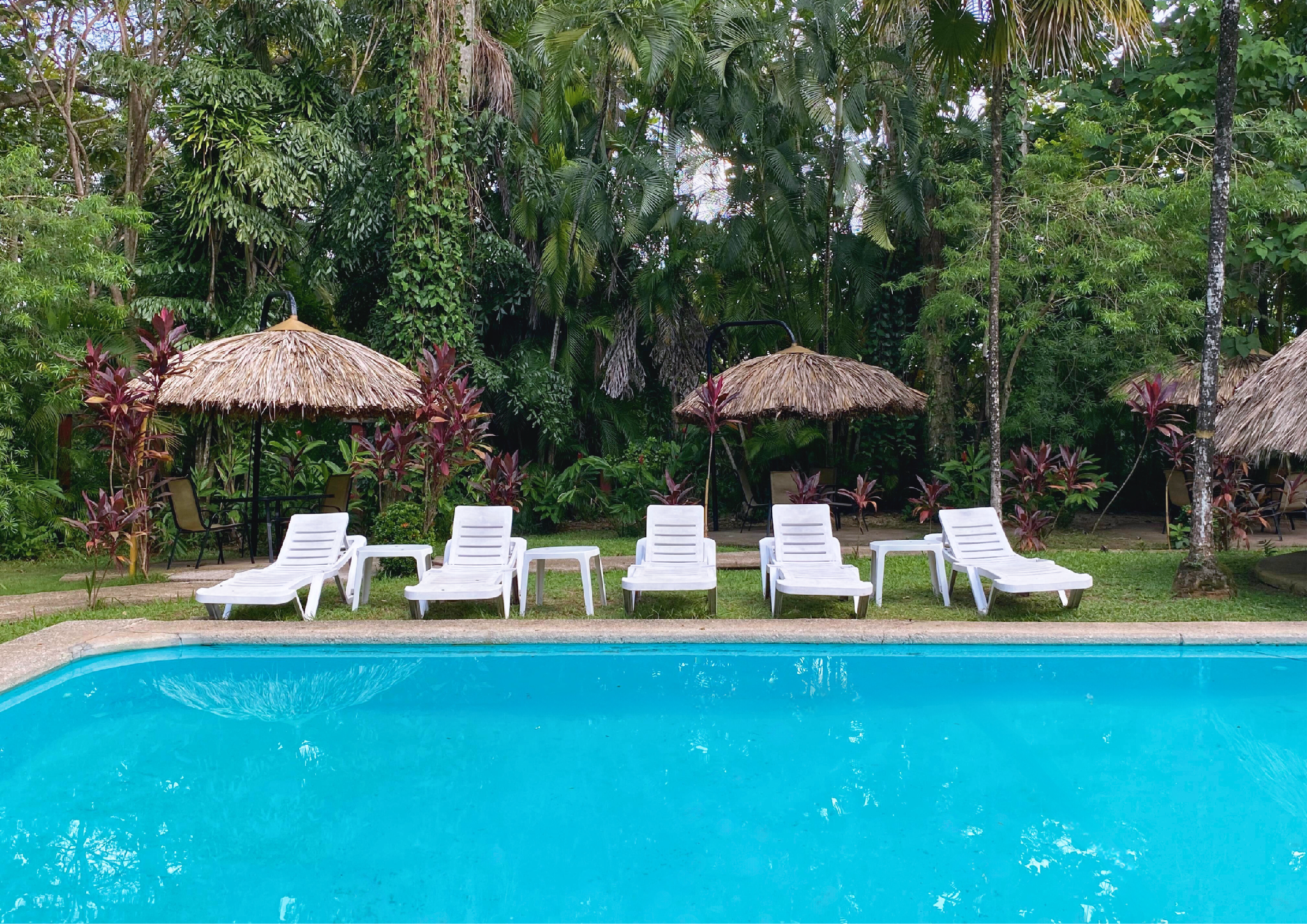 swimming pool [outdoor]