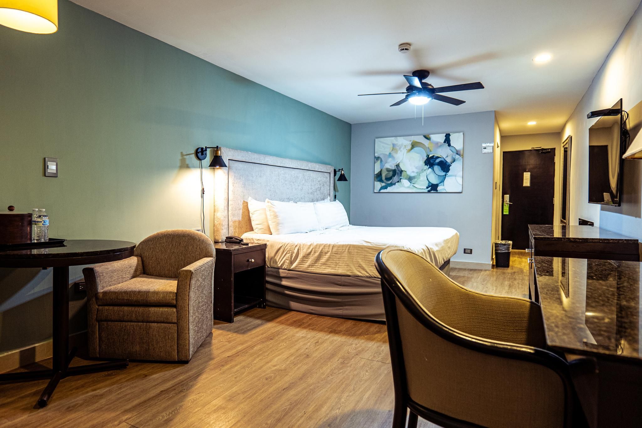 1 King Bed, Standard, Non-Smoking