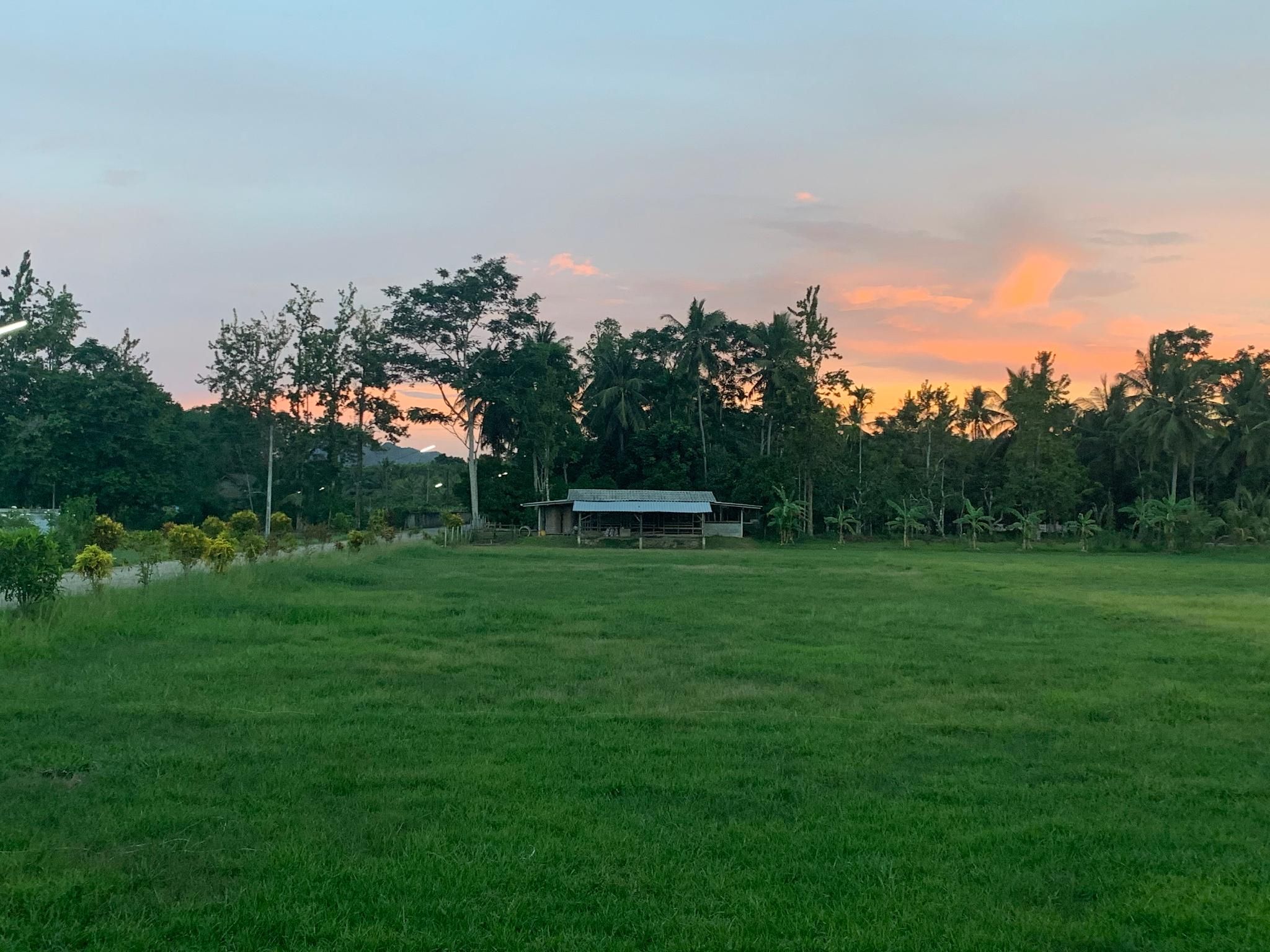 surrounding environment