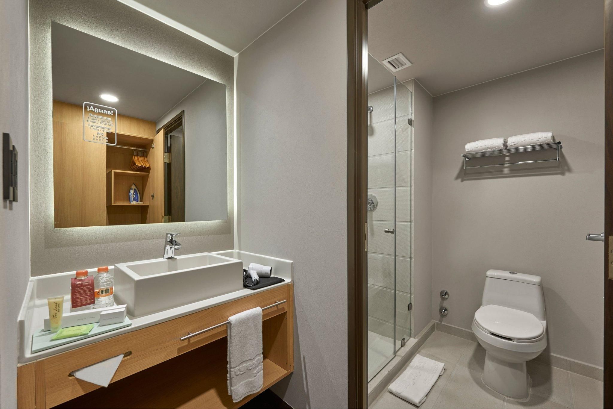 Suite, 1 King, Sofa bed