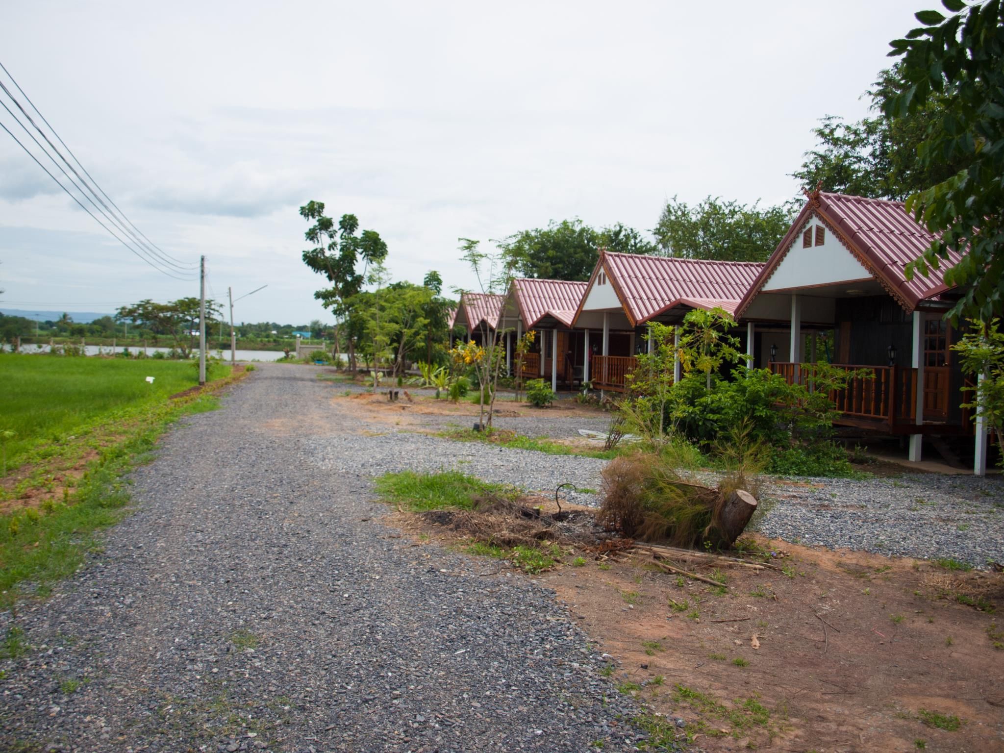 surrounding environment