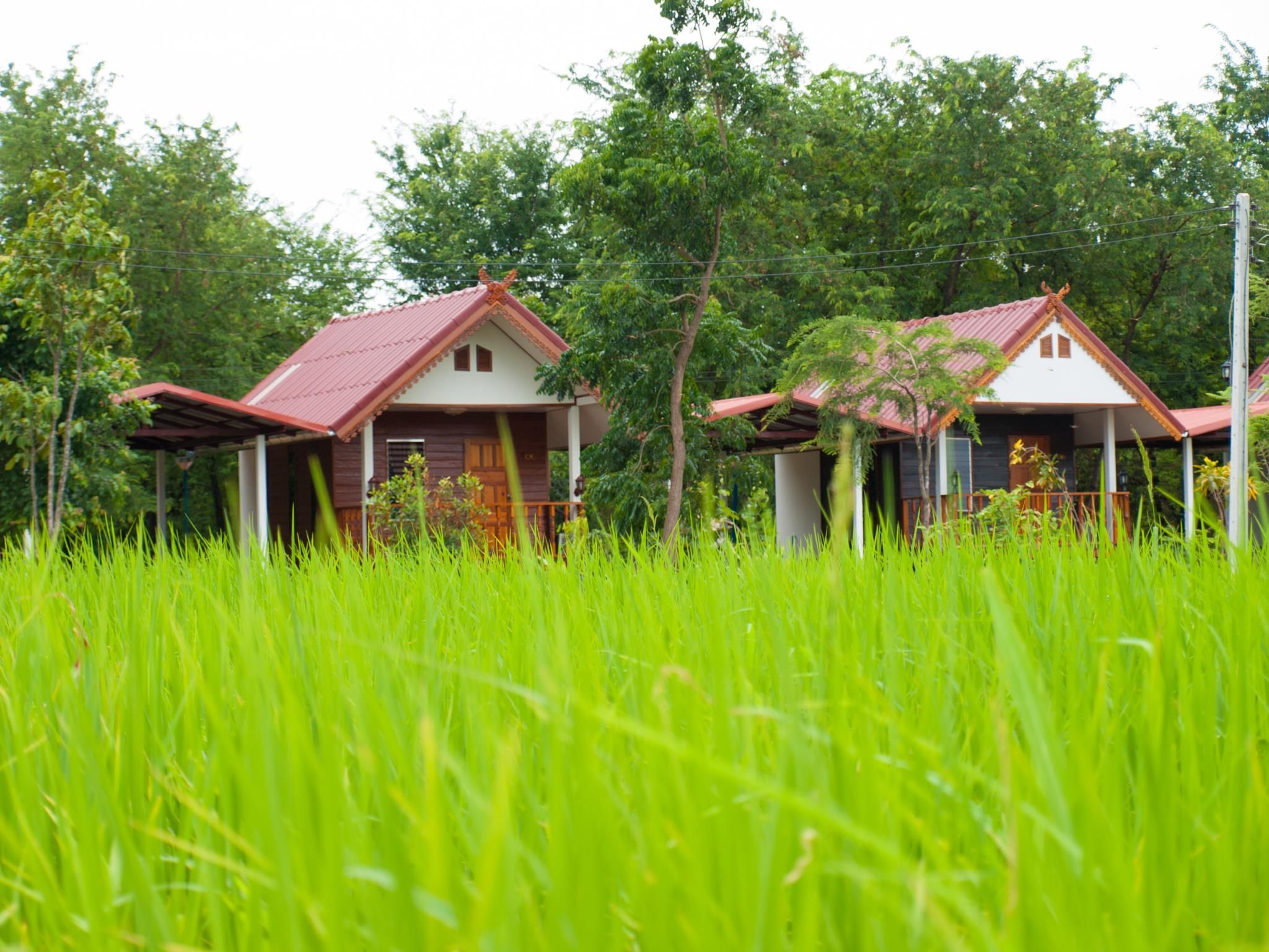 surrounding environment