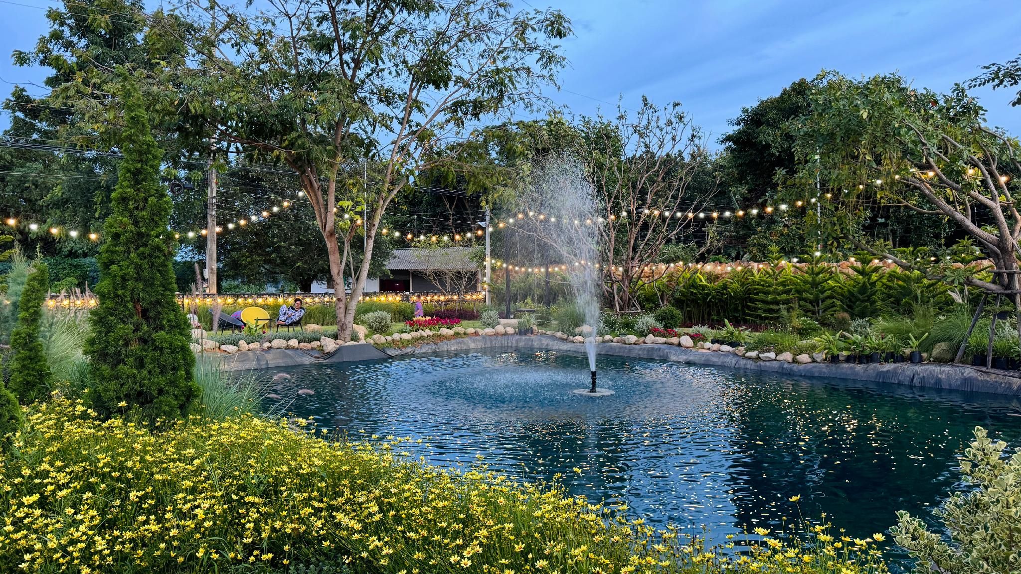 surrounding environment