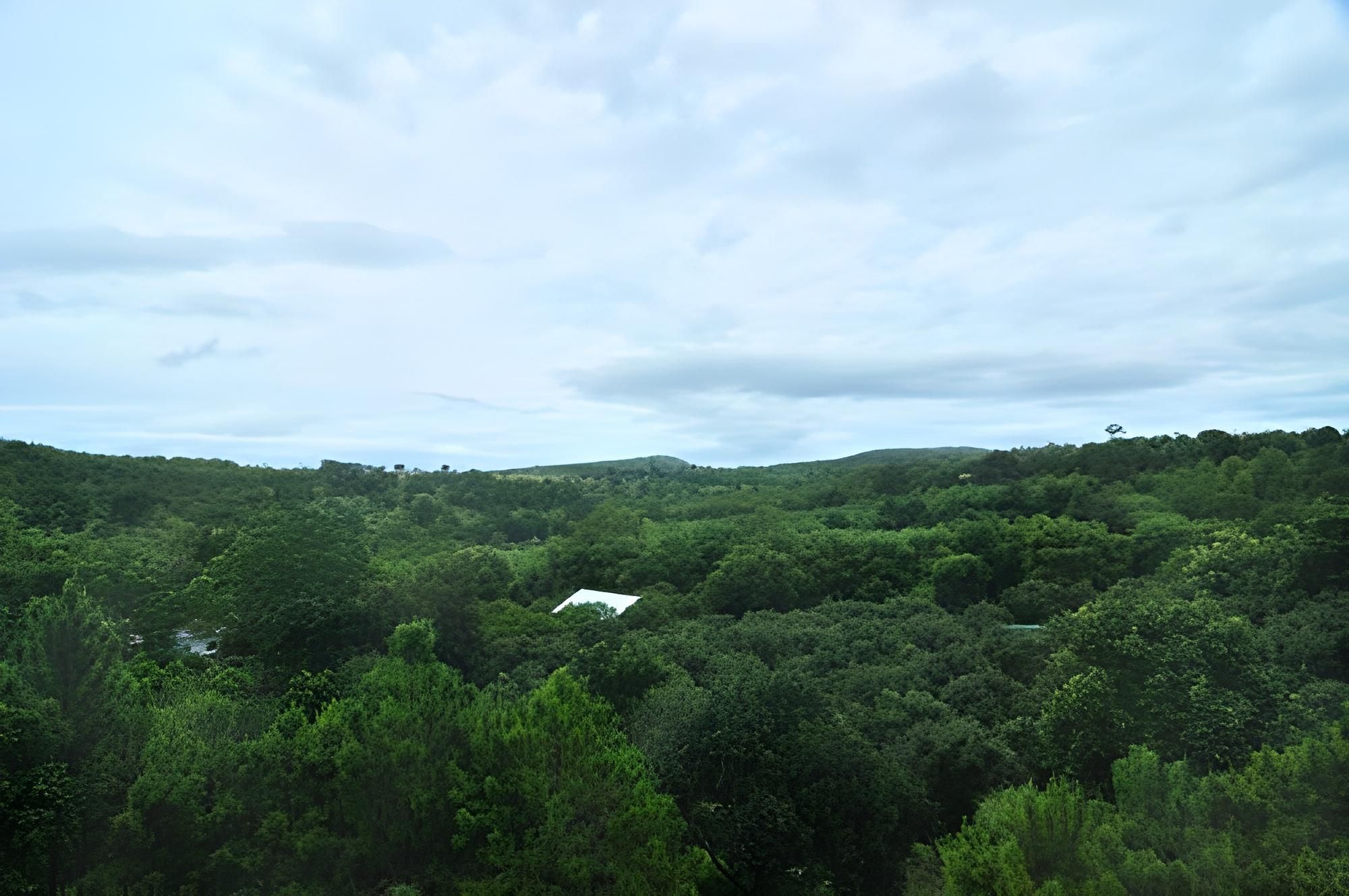 surrounding environment