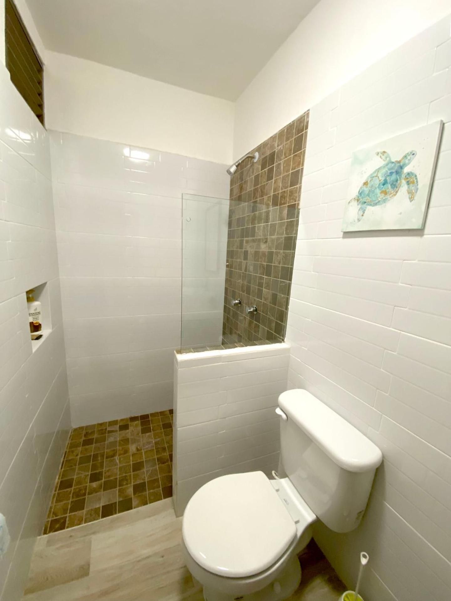 Deluxe Studio
