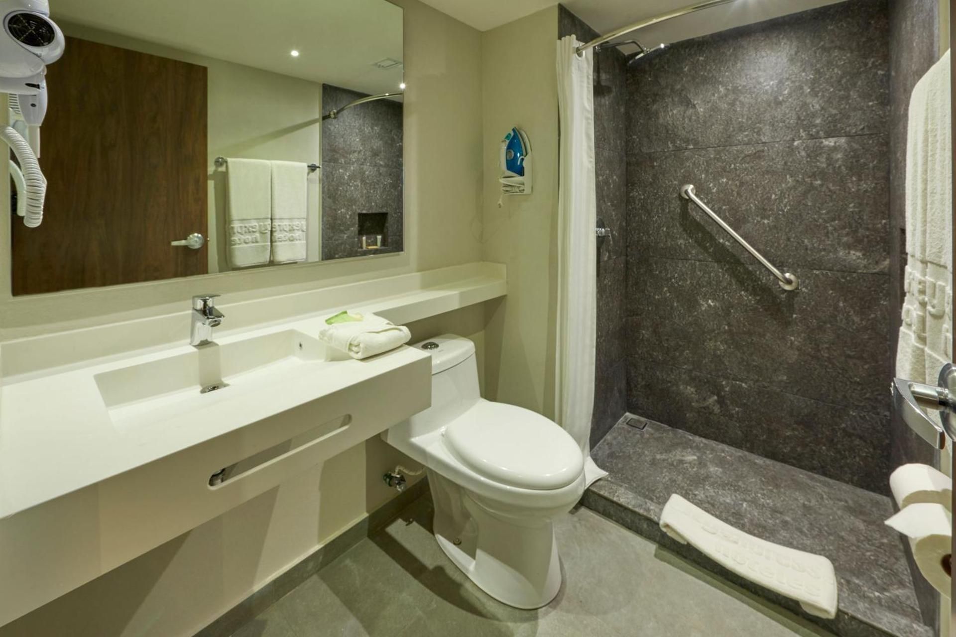 Junior King Suite with Sofa Bed