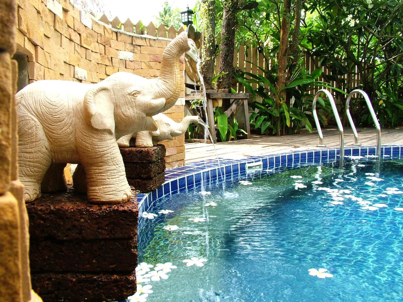 swimming pool [outdoor]