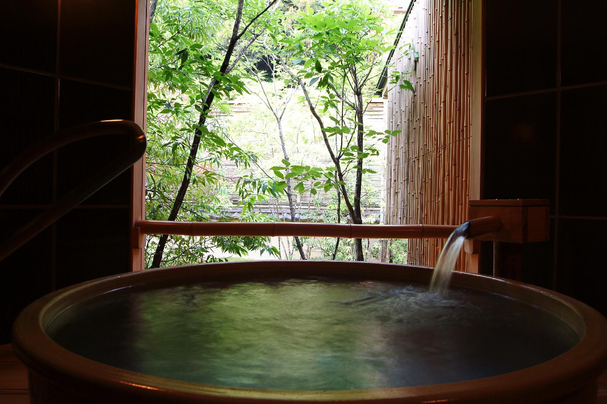 Premier Garden View Room