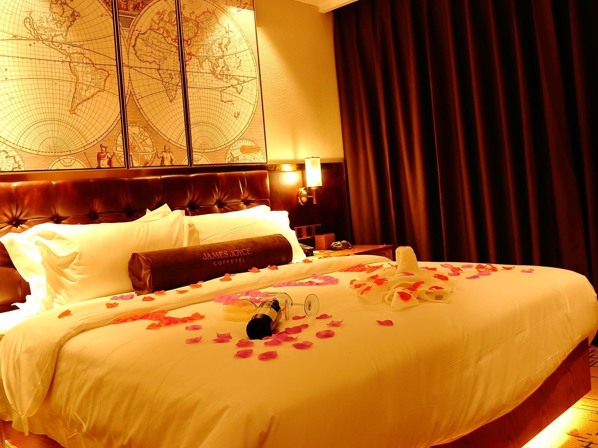 James Joyce - Zhizun Romantic Redwine Bed Room