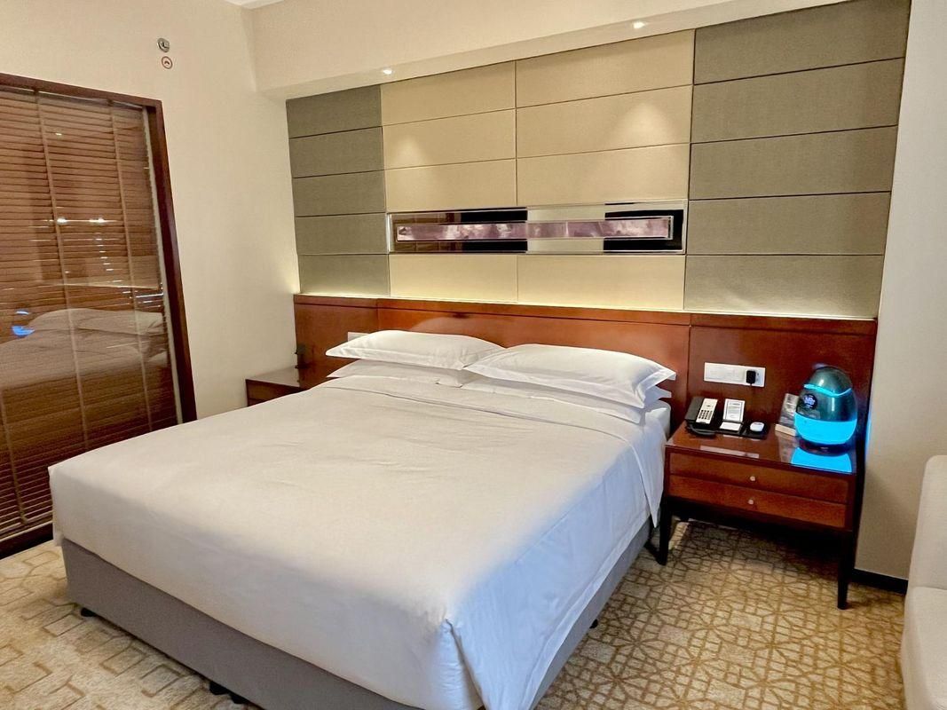 Shijiazhuang Meilihua Grand Hotel Provincial Museum Branch Forest Oxygen Bar Queen Room 2