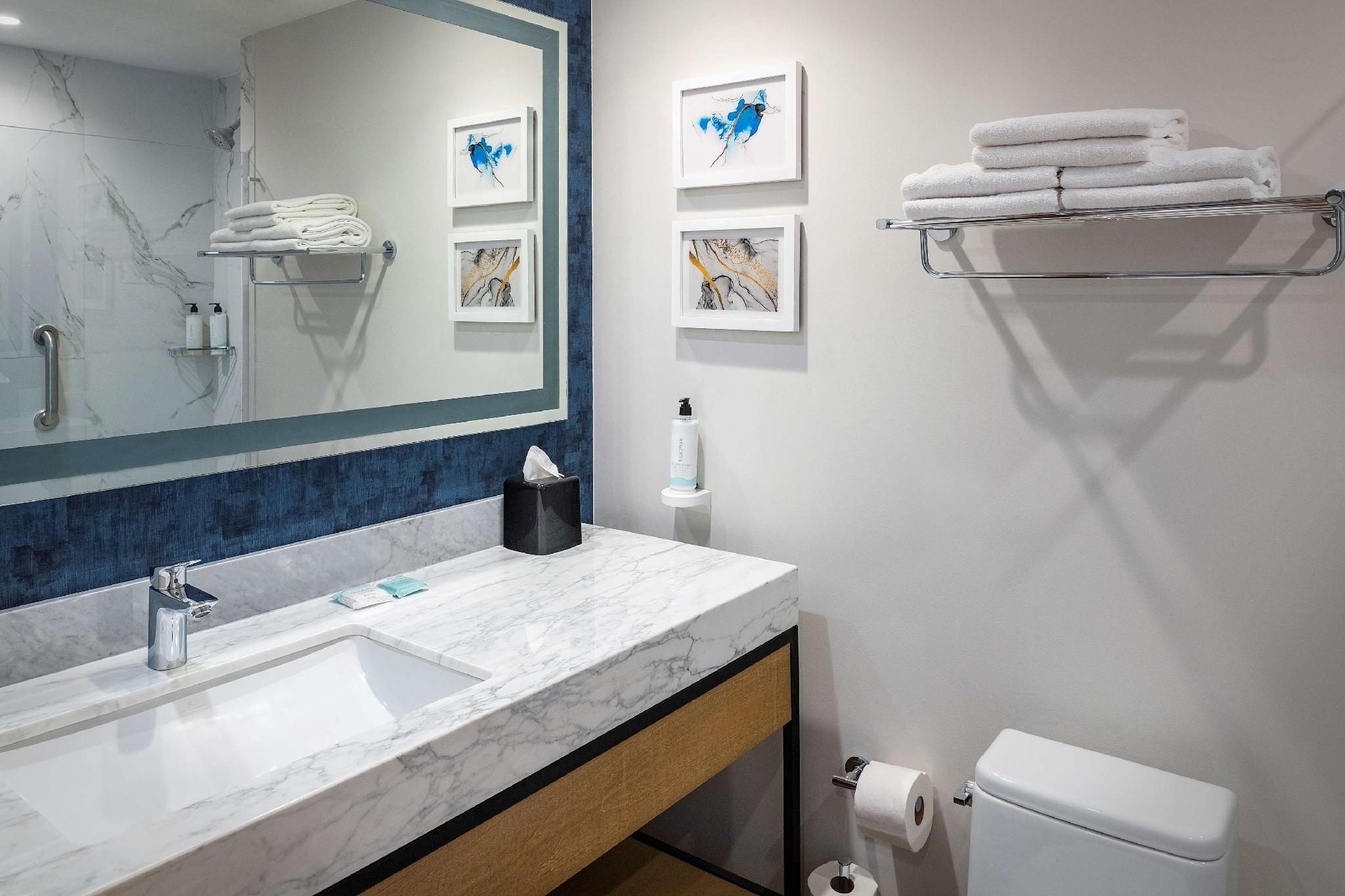 Hilton Garden Inn Cancun Airport 1 King Bed  3