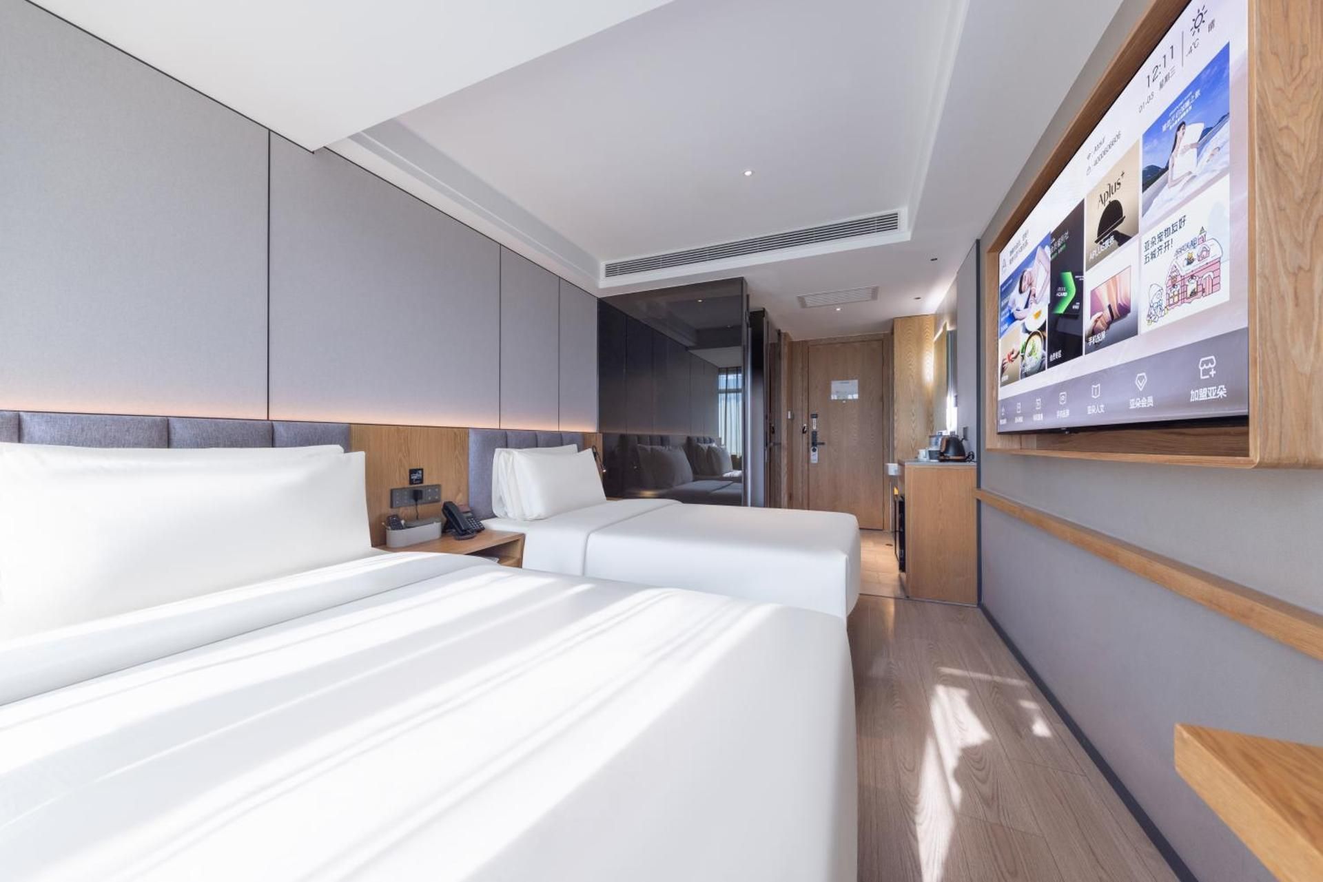 Twin Executive Room