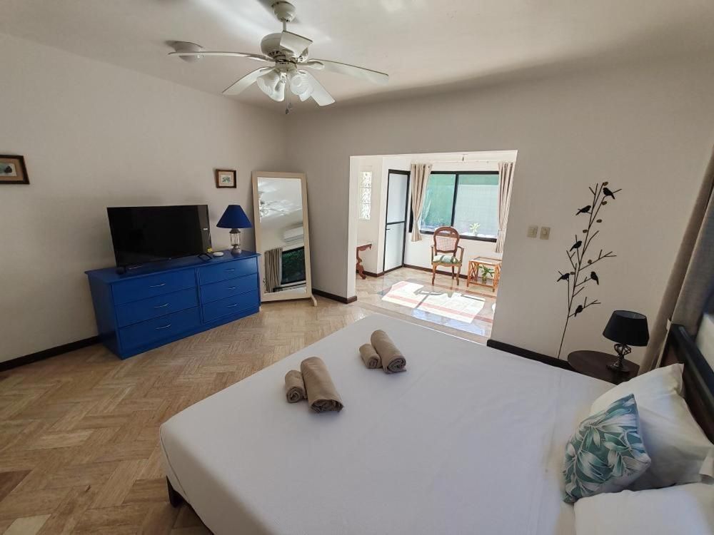 Superior One-Bedroom Apartment