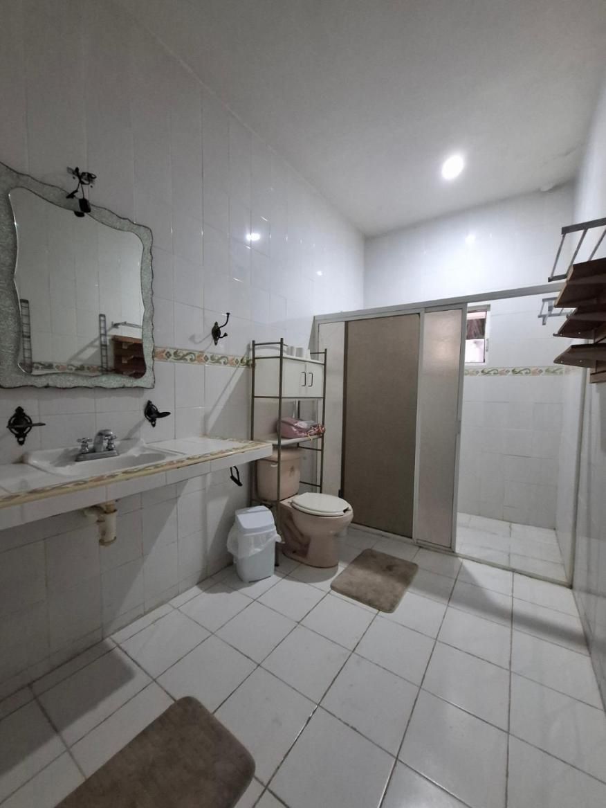 Single Bed in Mixed Dormitory Room
