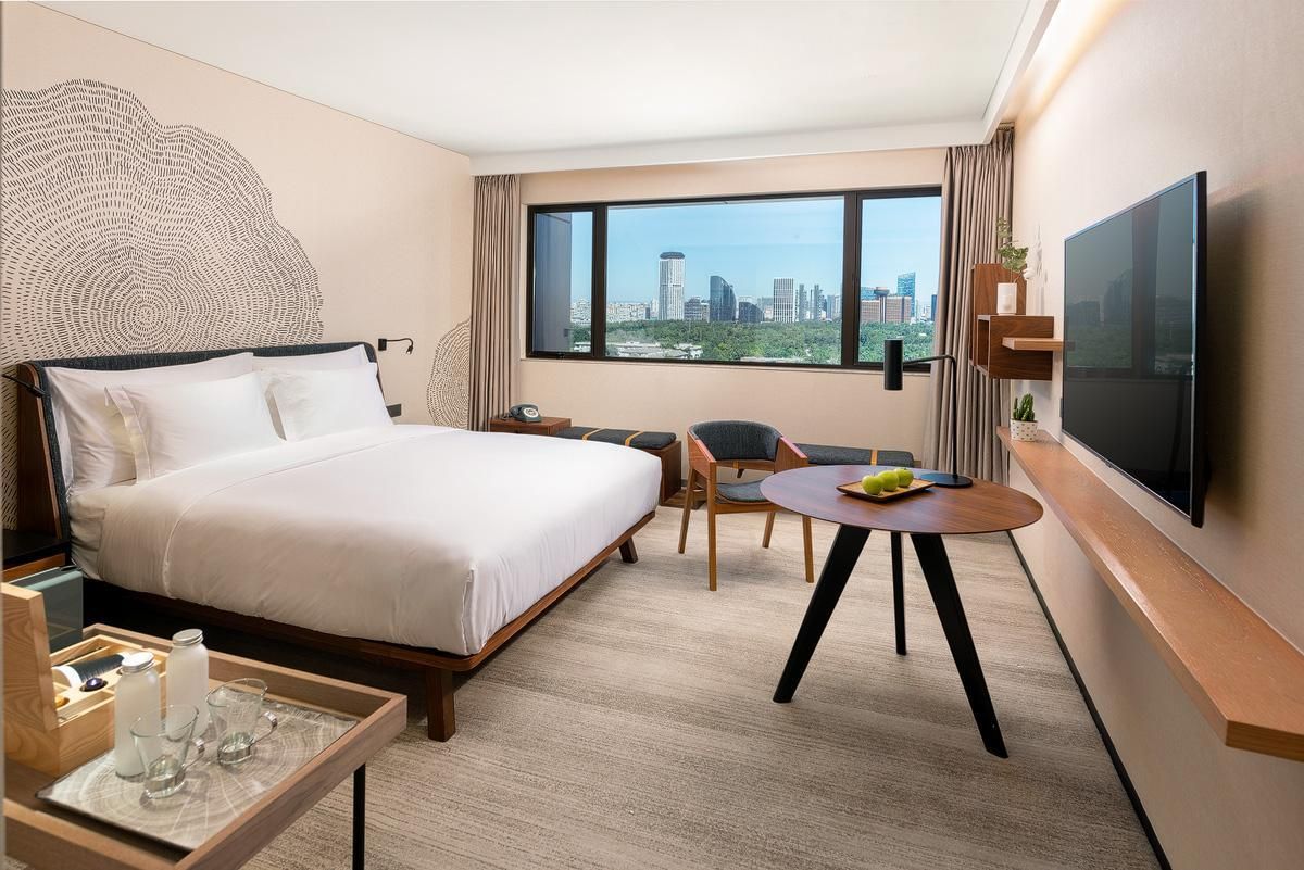 1 King Bed View