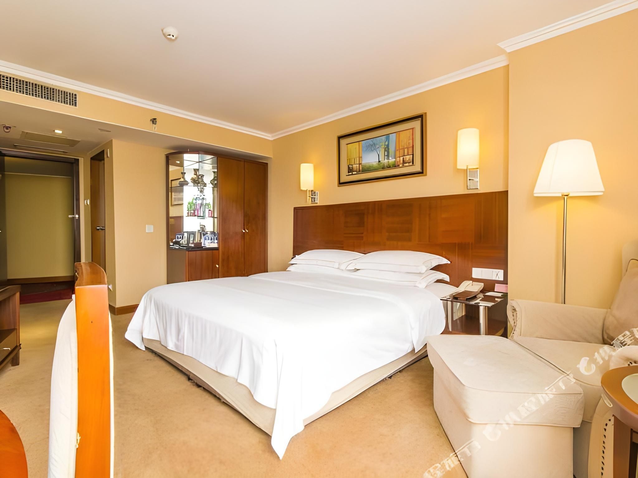 Superior Queen Room