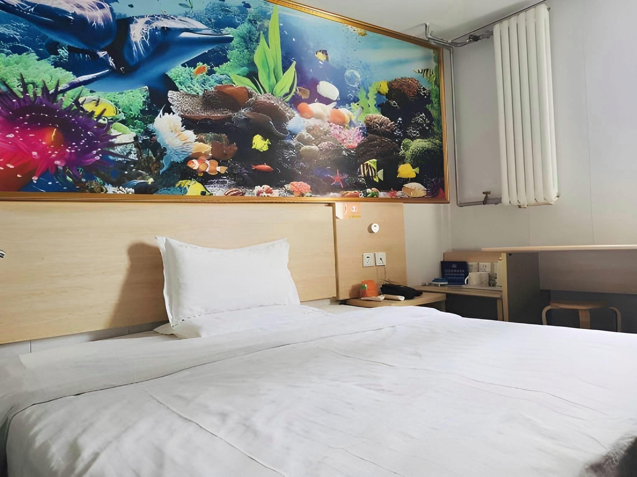 Economy Room
