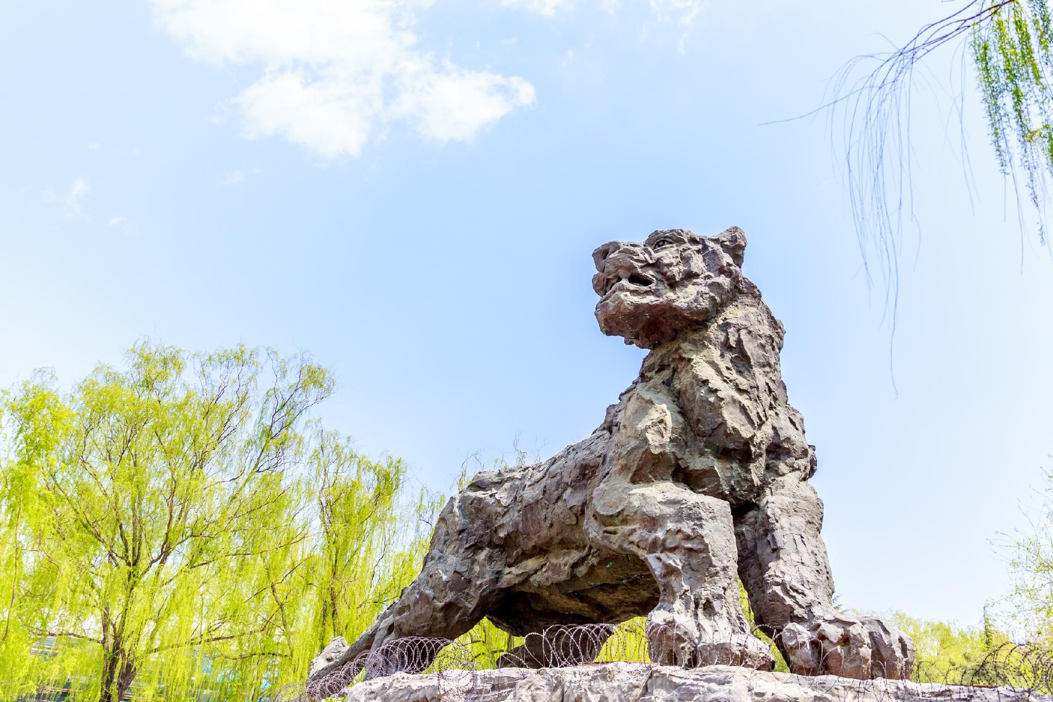 b37893911b8afd1b88249286e20c53f2