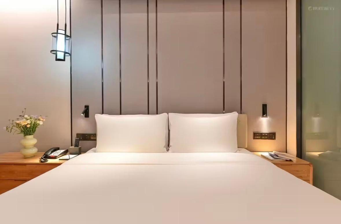 Executive room, Guest room, 1 Queen