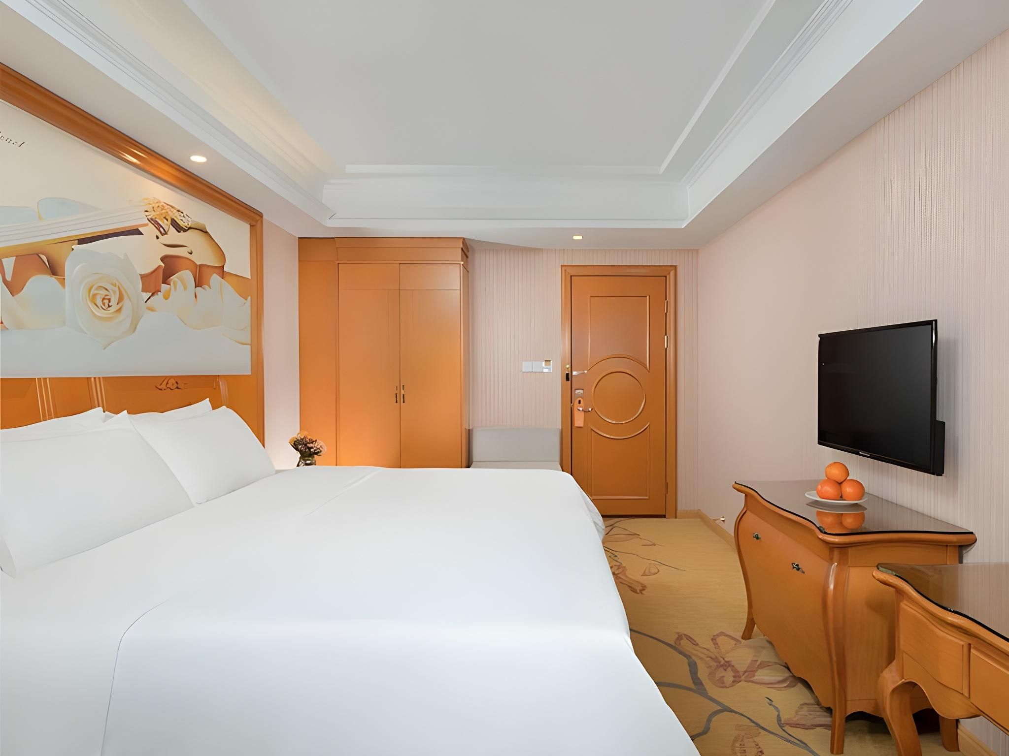 Vienna - Executive 1 Bed Room