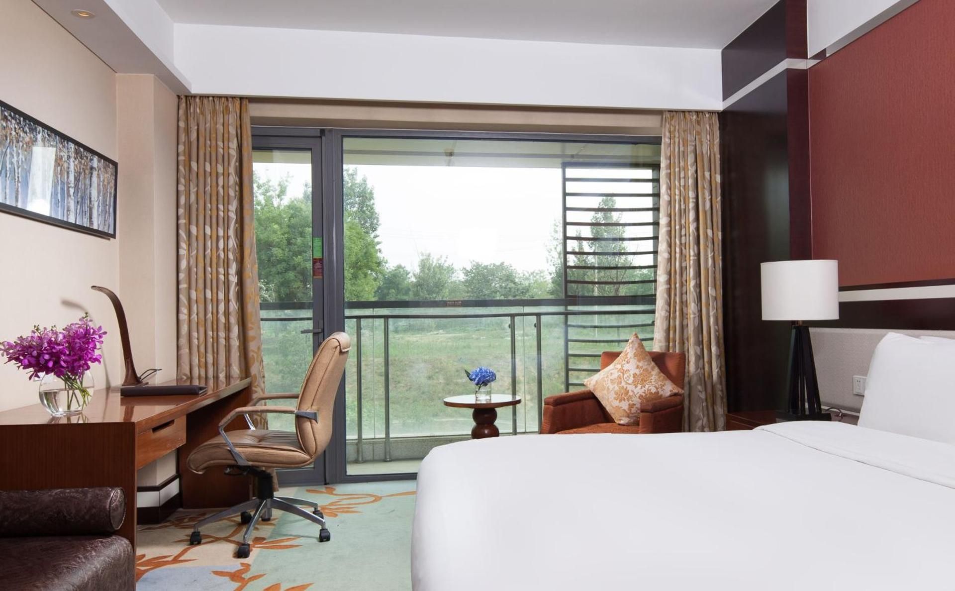 Premium Room