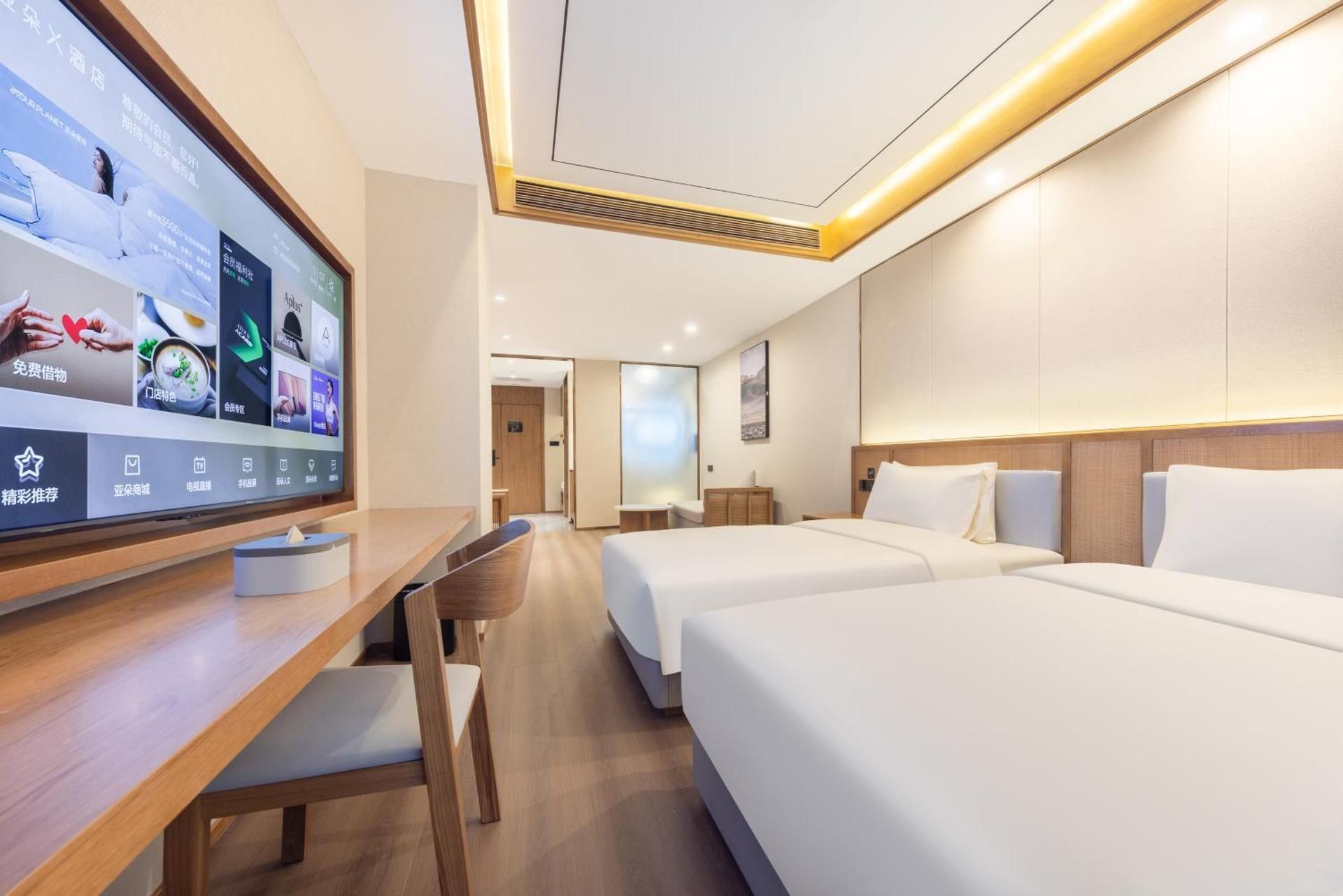 Elegant Twin Room without Window