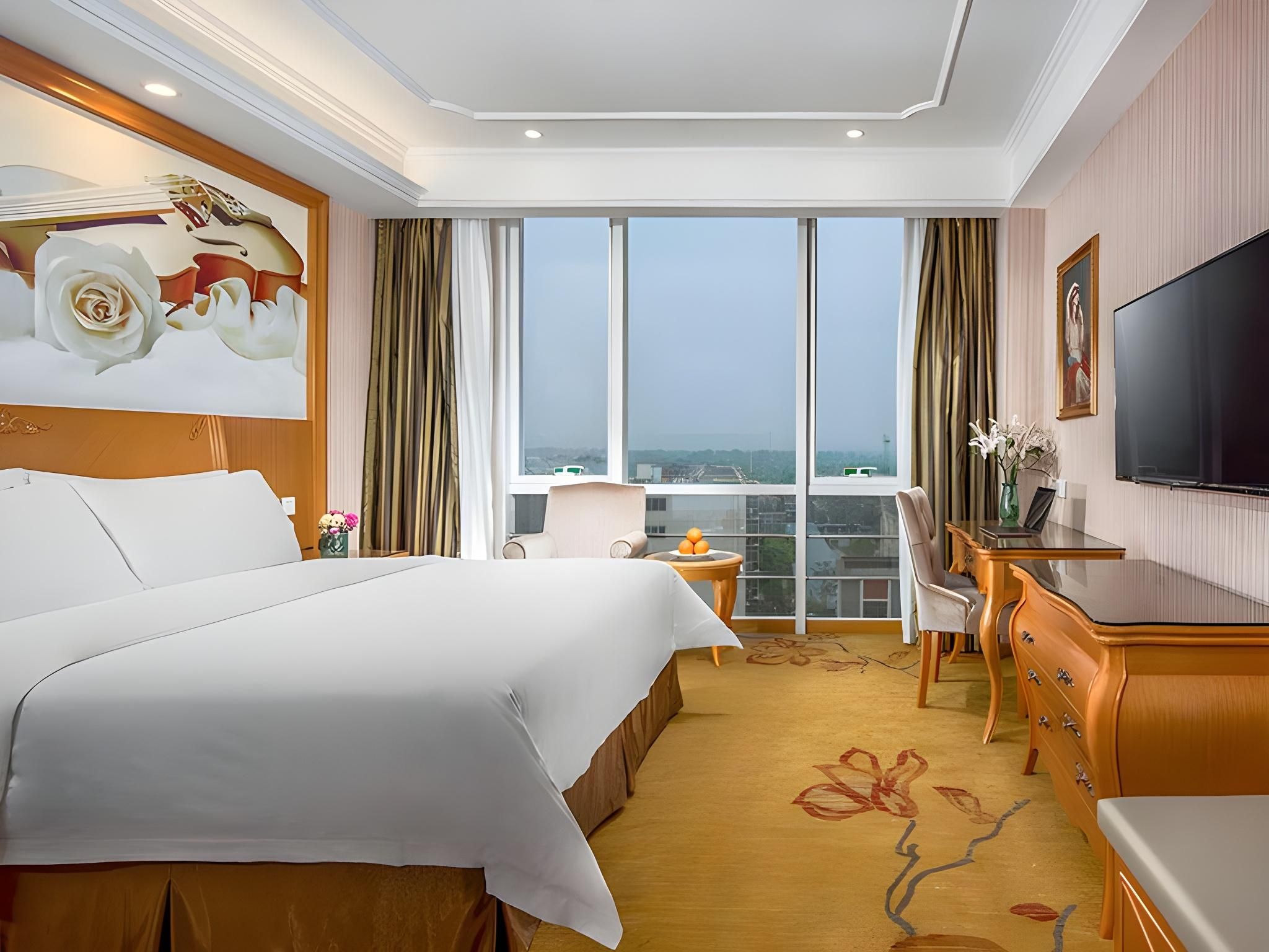 Vienna - Deluxe Room