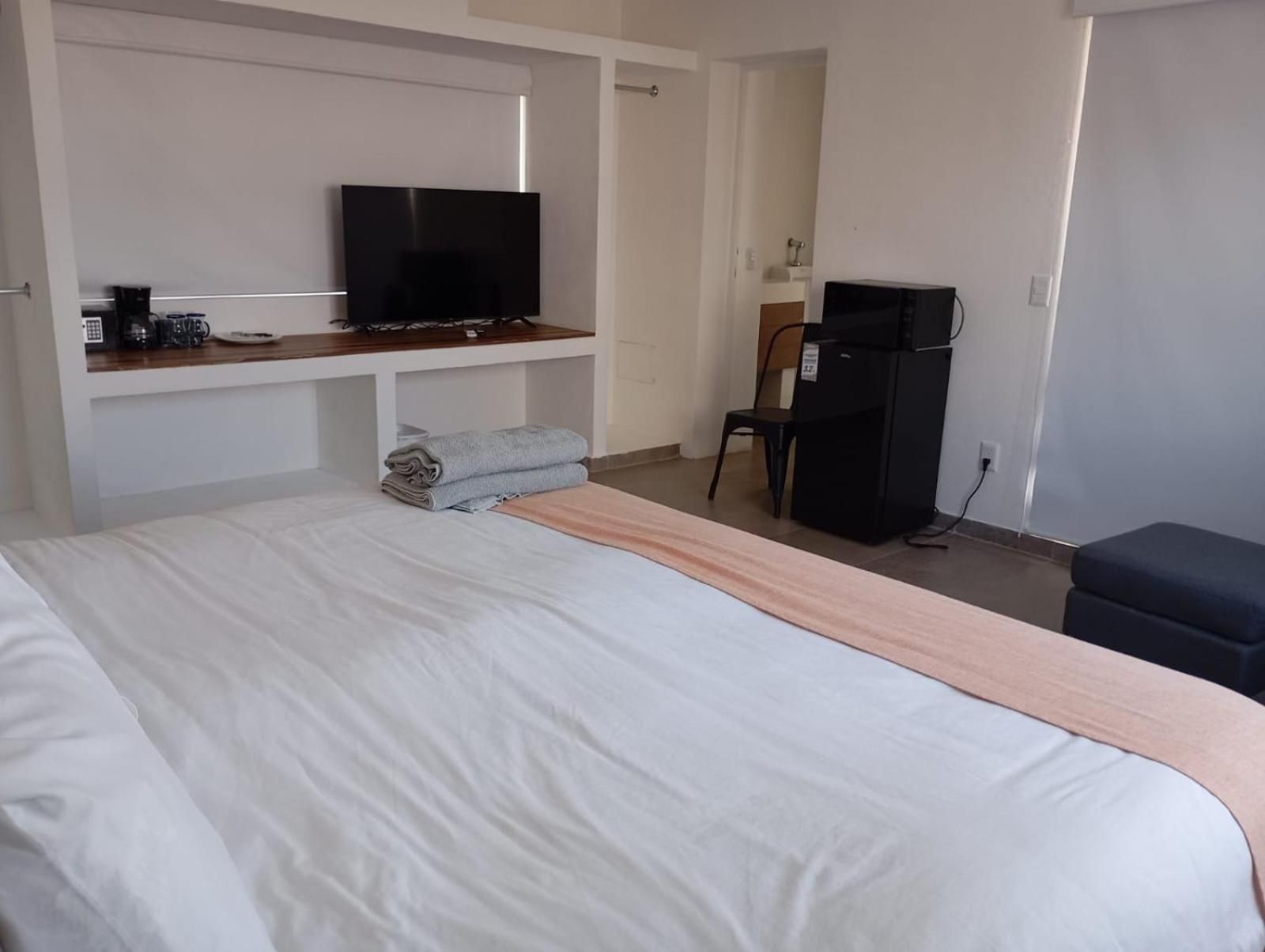 Deluxe One-Bedroom Apartment