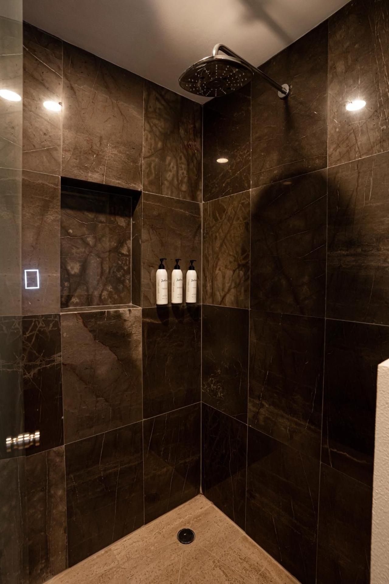 Radisson San Luis Potosi Aeropuerto King Room - Non-Smoking 3