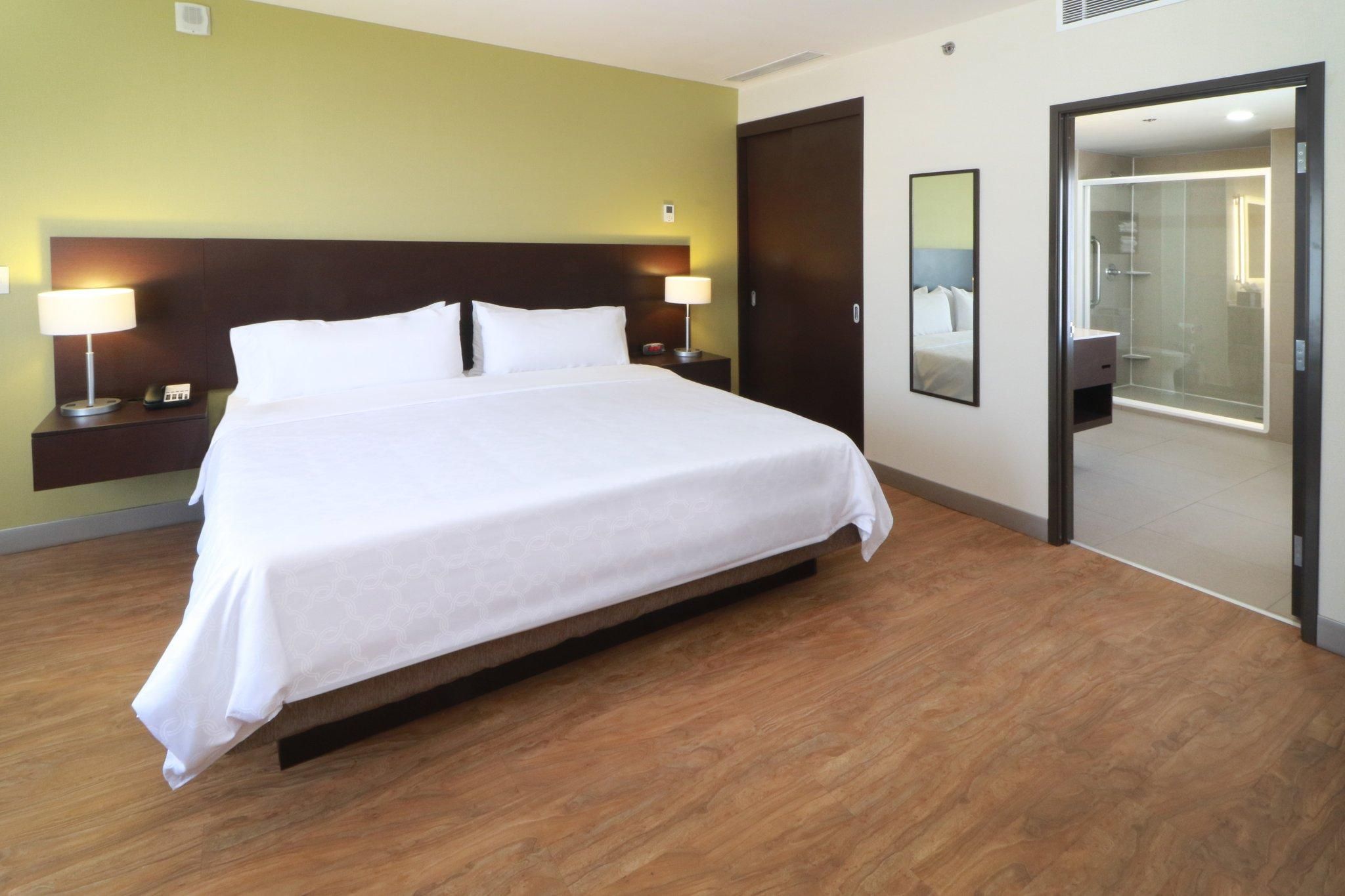 1 Bedroom Suite 1 King Non-Smoking