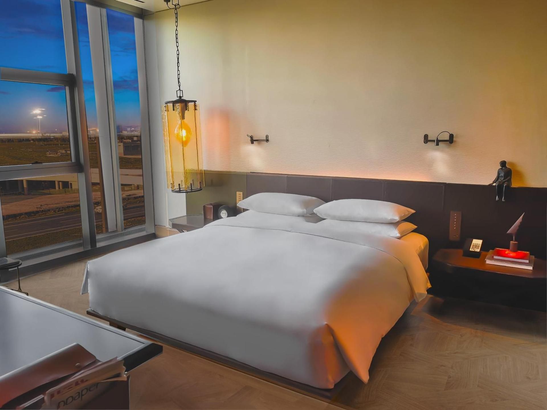 Park View King Room