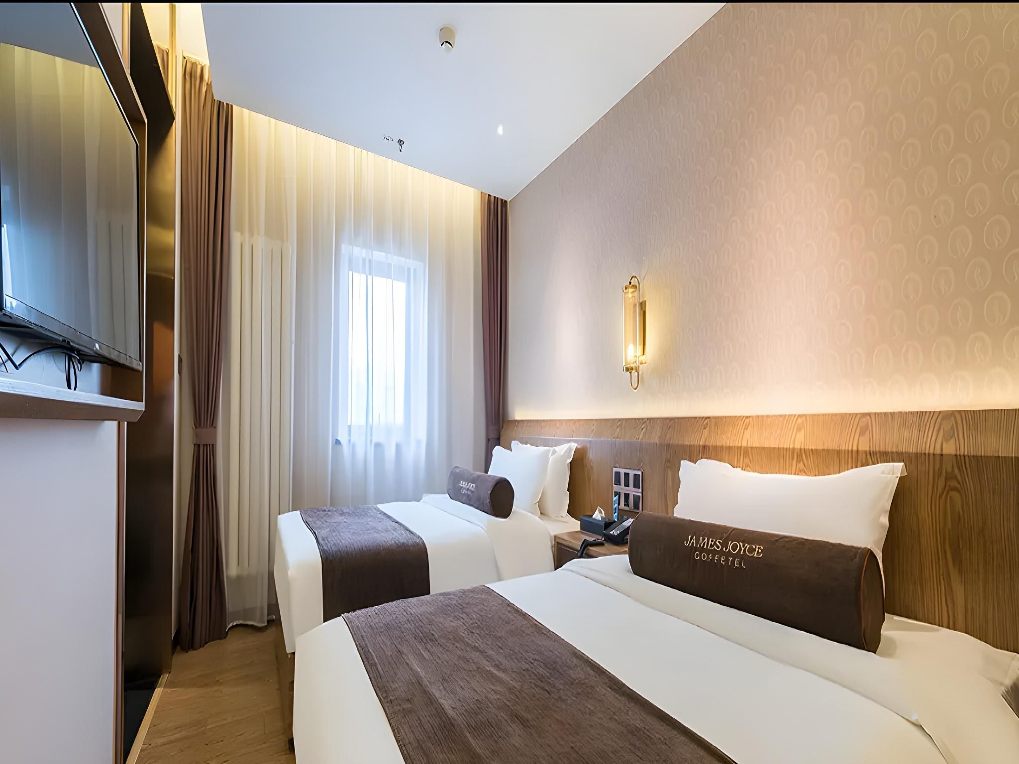 James Joyce - Feifan Twin