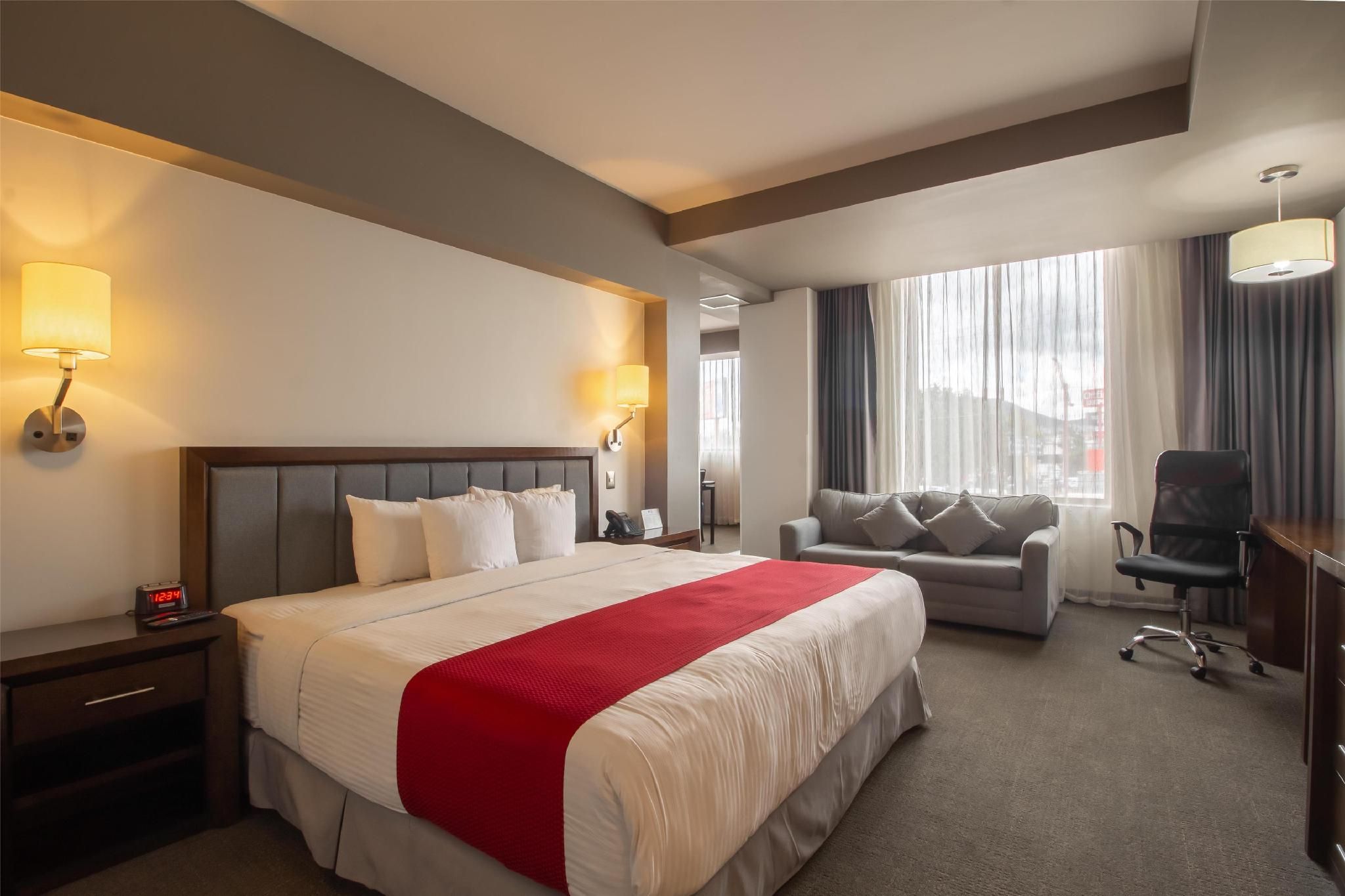 Suite - 1 King Bed, Nonsmoking, Junior Suite, Sofabed