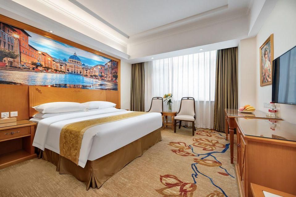 Vienna - Deluxe Room